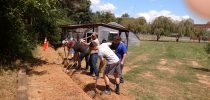 Central Haywood High Students Apply Electrical Skills to Upgrade Greenhouse