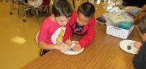 Bethel Elementary First Graders Make New Discoveries with Owl Pellets