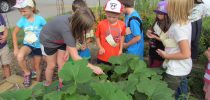 Riverbend Elementary Recognized as 2017 National Blue Ribbon School