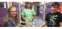 Getting More Students to Begin their Day with Breakfast