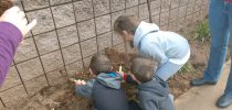 Riverbend First Graders Celebrate Earth Day