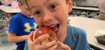 Summer Meals for Kids and Teens!